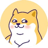 Shibe Barking